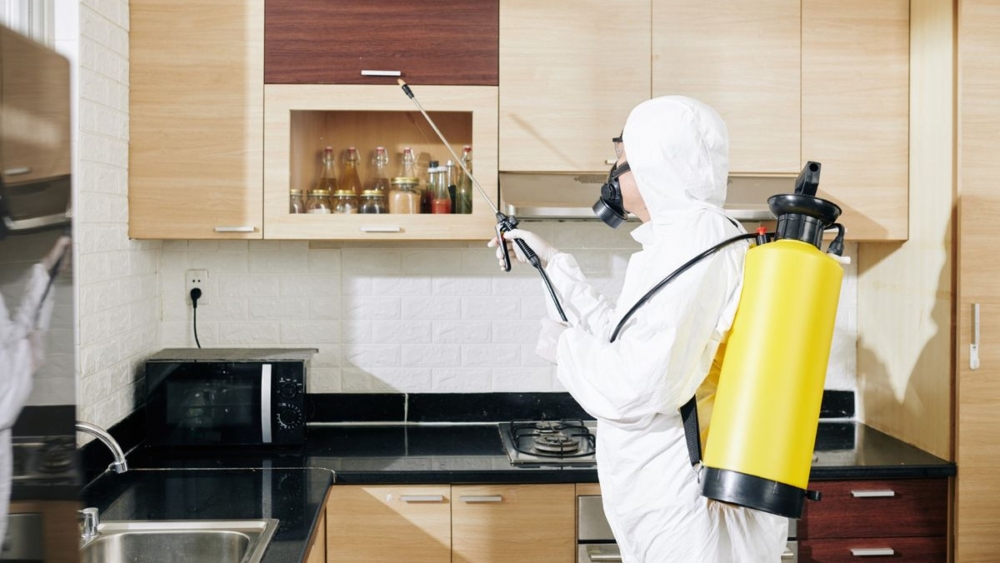 Professional Pest Control