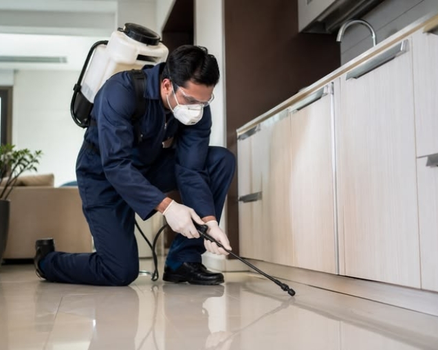 Termite control