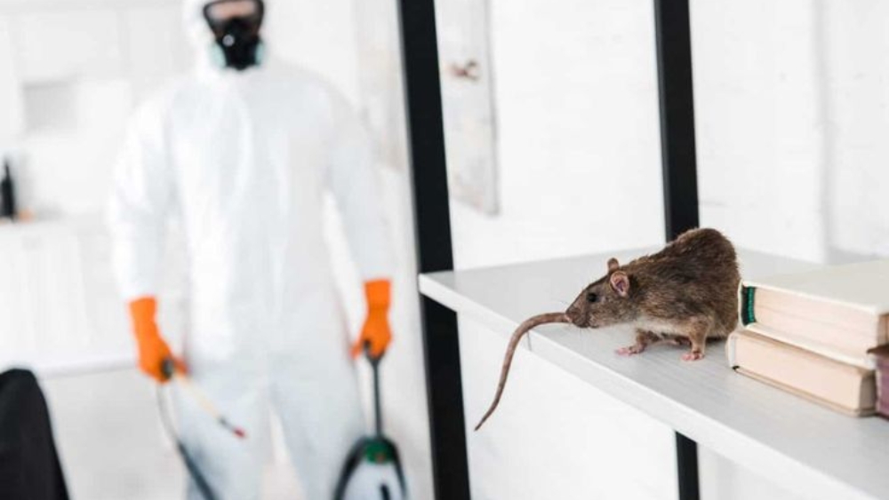 Rodent control for homes