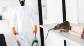 Rodent control for homes