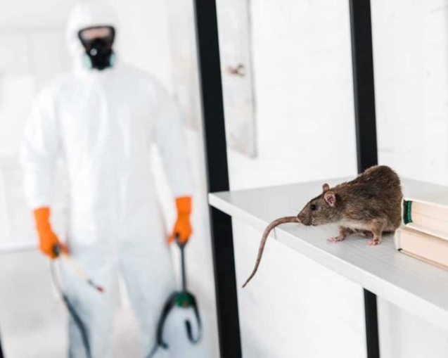 Rodent control for homes