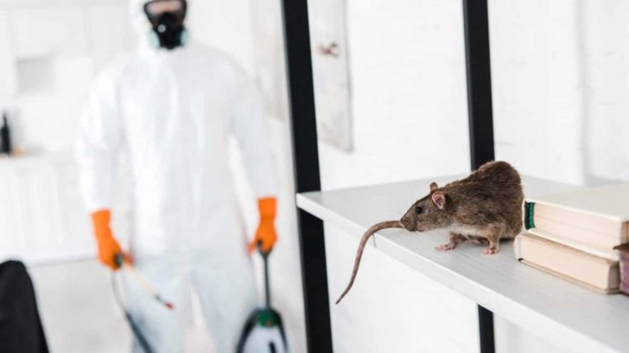 Rodent control for homes